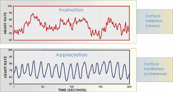 Heart rhythm patterns during different emotional states
