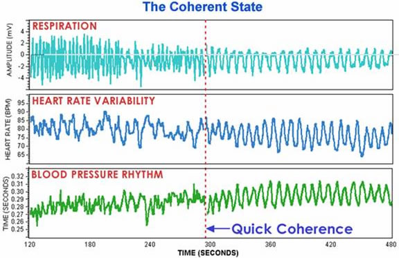 Physiological entrainment during coherence