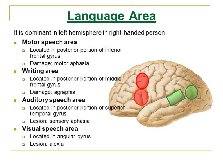 presence of mind speech