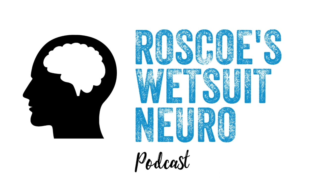 MindAlive's Dave Siever on Roscoe's Wetsuit Neuro Podcast